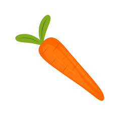 Cartoon style carrot vegetable illustration. Hand-drawn carrot vegetable illustration. Flat design carrot vegetable illustration. Vector illustration of carrot vegetable 