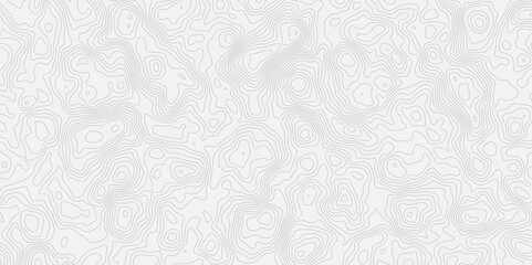 minimalist white background with contour lines with geographic mapping contour line creating an abstract topographic map design effect.
