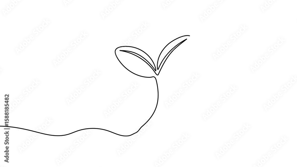 Poster animation of a single line drawing of a sprout. continuous contour movement of a sprout. continuous 