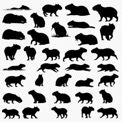 A collection of thirty-two black silhouette illustrations of capybaras in various poses, standing, sitting, lying down, and swimming.