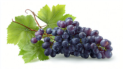 Luscious Grape Cluster: A vibrant bunch of ripe, purple grapes, captured in stunning detail, offers a tantalizing glimpse of nature's sweet bounty.
