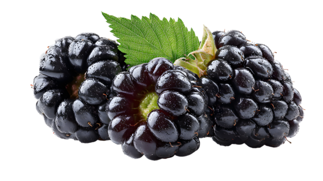 Fresh blackberries clustered together with a vibrant green leaf, showcasing their rich color and texture against a clean background