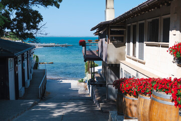 Cozy coastal view with a path leading to the sea, surrounded by charming houses, red flowers in...