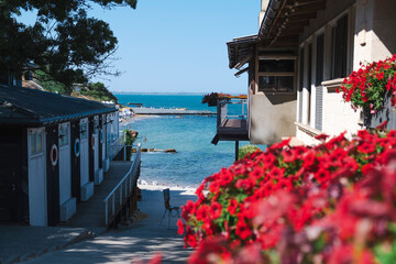 Cozy coastal view with a path leading to the sea, surrounded by charming houses, red flowers in...