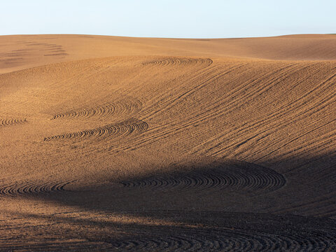 The tills and furrows of ploughed farmland and rolling hills at dusk, Palouse