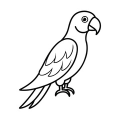 parrot illustration tropical bird design carton