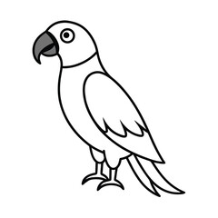 parrot illustration tropical bird design carton