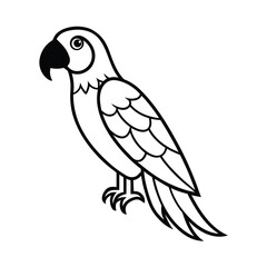 vector illustration of a parrot