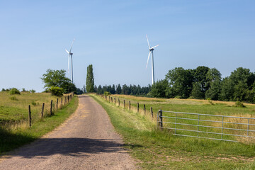Rural path lined with wooden fences and green fields, ending in a grove. Tall wind turbines...