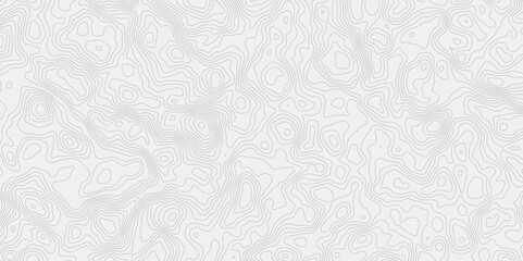 Fototapeta premium minimalist white background with contour lines with geographic mapping contour line creating an abstract topographic map design effect. 