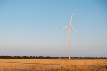 Wind turbines standing tall on a golden field at sunset. A peaceful rural landscape representing...