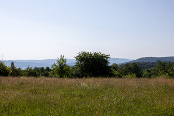 Pastoral summer field with scattered bushes and soft blue mountains on the horizon under clear...
