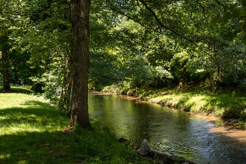 Shaded forest by a calm river on a hot summer day. Dappled sunlight filters through trees, creating...
