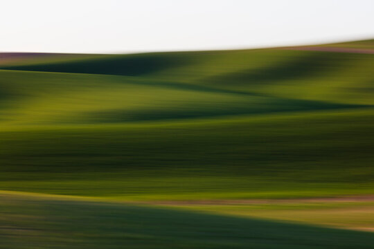 Blurred motion abstract of rolling hills and Spring wheat grass, Palouse