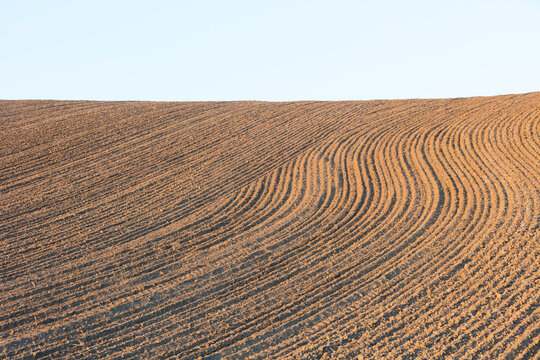 Detail of fertile, tilled farmland and rolling hills at dusk, Palouse