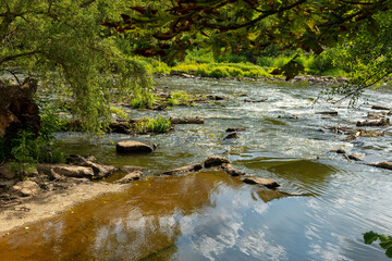 Calm riverbank nestled between lush greenery, showcasing tranquil waters under bright sunlight in a...