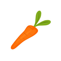Cartoon style carrot vegetable illustration. Hand-drawn carrot vegetable illustration. Flat design carrot vegetable illustration. Vector illustration of carrot vegetable 