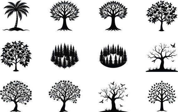 Extensive Tree Bundle Ideal for Park Woodland and Natural Scenery Projects Vector of silhouette