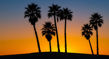 Obraz premium Minimalist Coconut Palm Tree Silhouette at Sunset Indonesia