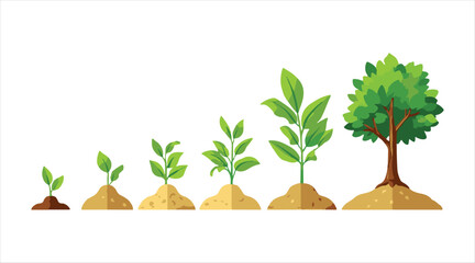 Phases of growing plants. Infographic on tree planting. Evolutionary concept. Icons depicting sprout, plant, and tree growth in agriculture. Vector illustration in a flat design.