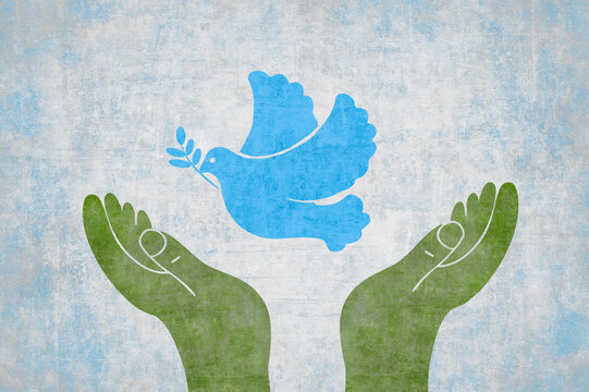 Hands releasing a dove symbolizing peace and hope
