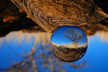 Optical illusion of a tiny landscape inside a glass sphere. Crystal ball photography.
