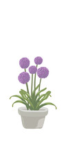 Vibrant purple flowers in a simple pot enhance home decor with natural beauty