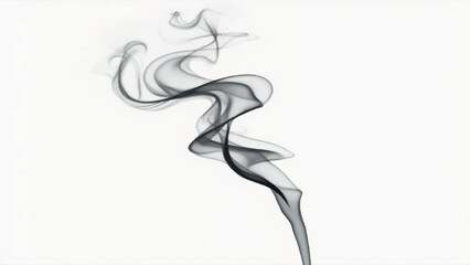 Fototapeta premium Ink-Inspired Smoke, Randomly drawn black smoke on a white background, Black smoke designed by bending it and Back white background