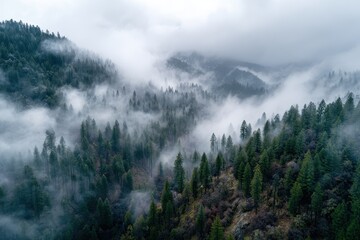 Misty mountain range shrouded in fog