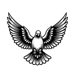 Obraz premium Majestic black and white illustration of a dove in flight, wings spread wide, showcasing detailed feathering.