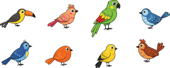 Colorful cartoon bird set with owls parrots sparrows and feathers in a cute vector illustration collection for nature and animal design