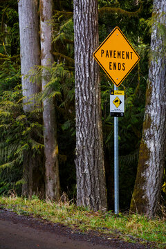 Pavement Ends road sign and a CCTV sign in the Olympic National Forest, Port Angeles