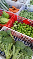 Various kinds of fresh vegetables in plastic boxes sell at traditional market.