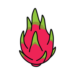 Illustration Vector Graphic Cartoon of a Tropical Dragon Fruit
