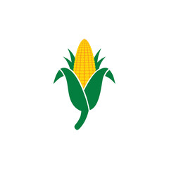 raw corn that is ready to be harvested and processed for consumption