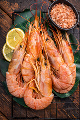 Raw Red Langostino Austral shrimps on rack with herbs. wooden background. top view