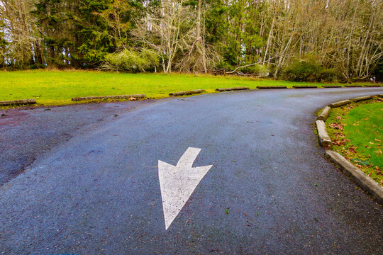 Arrow symbol on a road indicating which way traffic should go. 