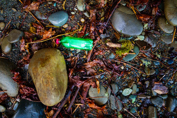 Beach debris, plastic waste, flotsam on the beach, Freshwater Bay.
