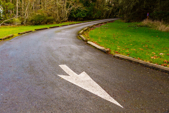 Arrow symbol on the highway at a corner. 