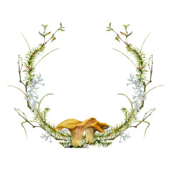 Golden chanterelle girolle mushroom fungi. Horsetail plant, berry branches twigs, pine needles, grass blades moss lichen growth. Forest woodland undergrowth wreath frame hand drawn in watercolor.