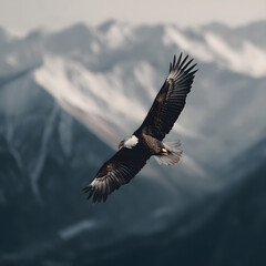 Obraz premium A bald eagle is flying over a mountain range