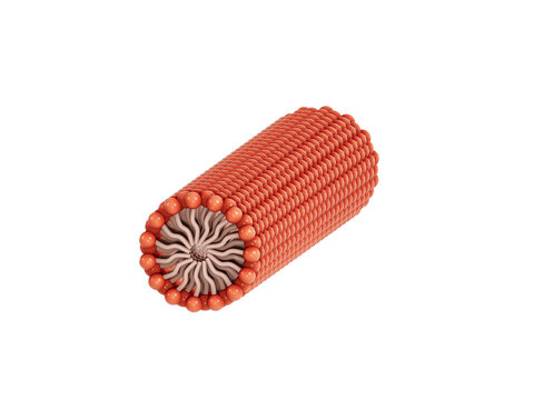 CTAB Tubular self-assembly-small