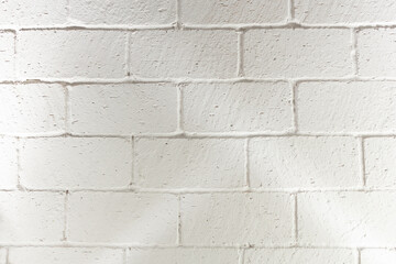 A view of a white cinder block wall facade, as a background.