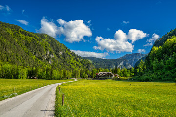 Alpine hotel in green valley with mountain views
