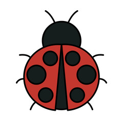 Lady Bug