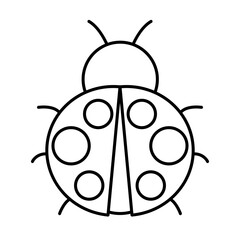 Lady Bug © Nareerat