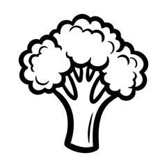 Broccoli illustration hand drawing vector illustration