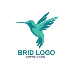 bird logo vector