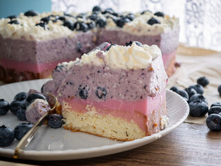 Colorful purple and pink pastel blueberry sponge cake