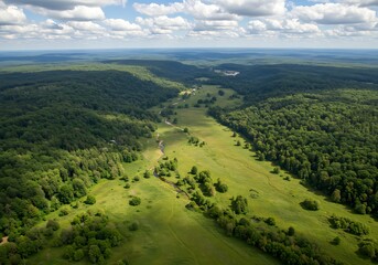 Obraz premium Aerial view of lush green valley with forest and winding stream